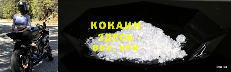 где можно купить   Жуковский  Cocaine Fish Scale 